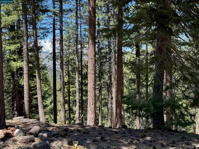 $219,000 | 1578-1578 Skyline Drive, South Lake Tahoe, CA 96150