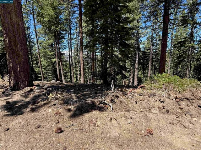 $219,000 | 1578-1578 Skyline Drive, South Lake Tahoe, CA 96150