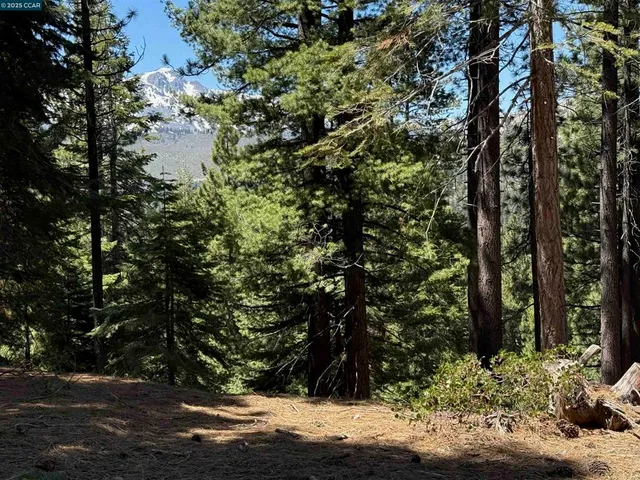$219,000 | 1578-1578 Skyline Drive, South Lake Tahoe, CA 96150