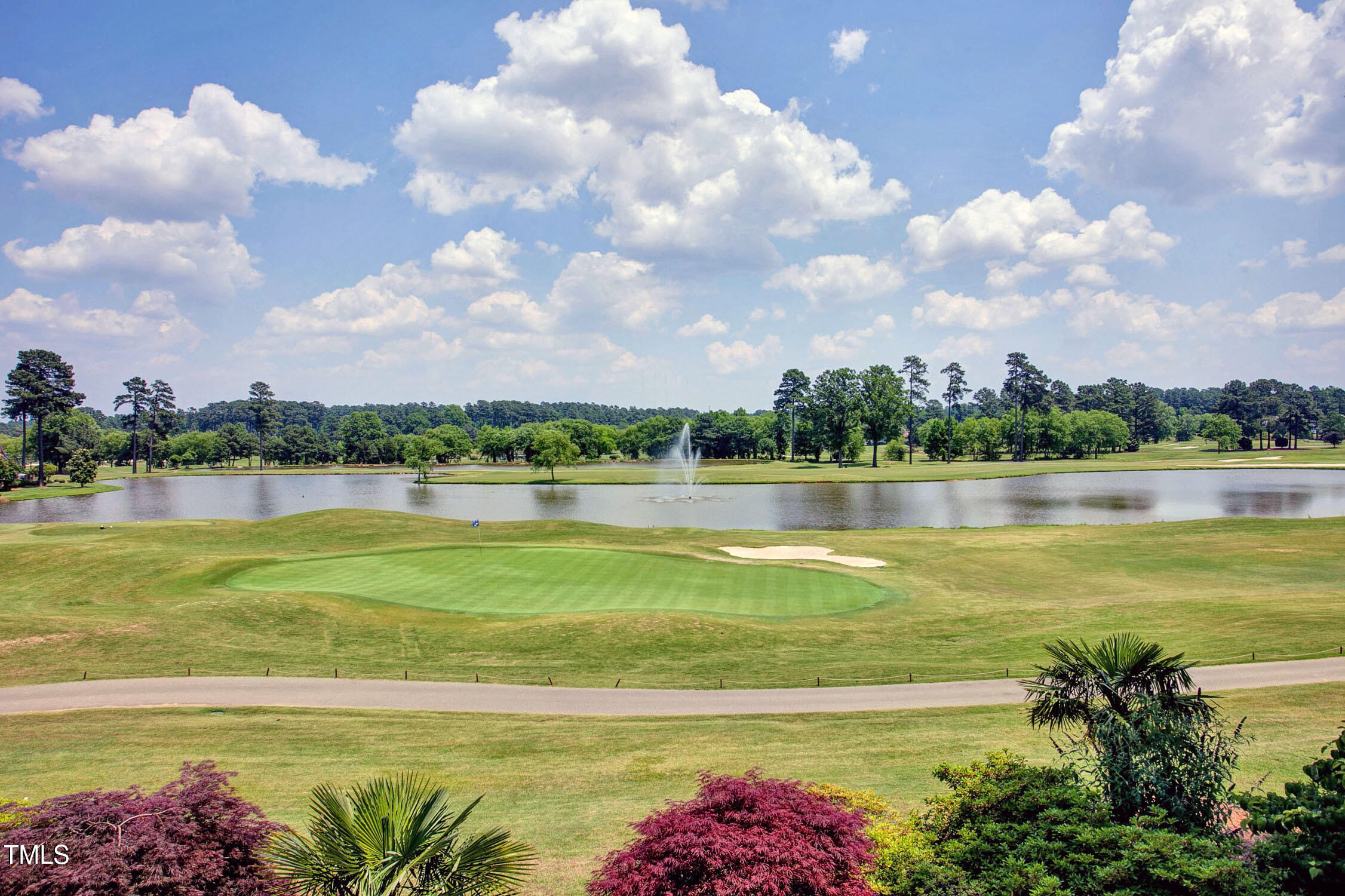 116 Old Pros Way Cary, NC 27513 - Photo 53 of 54 Golf-Course