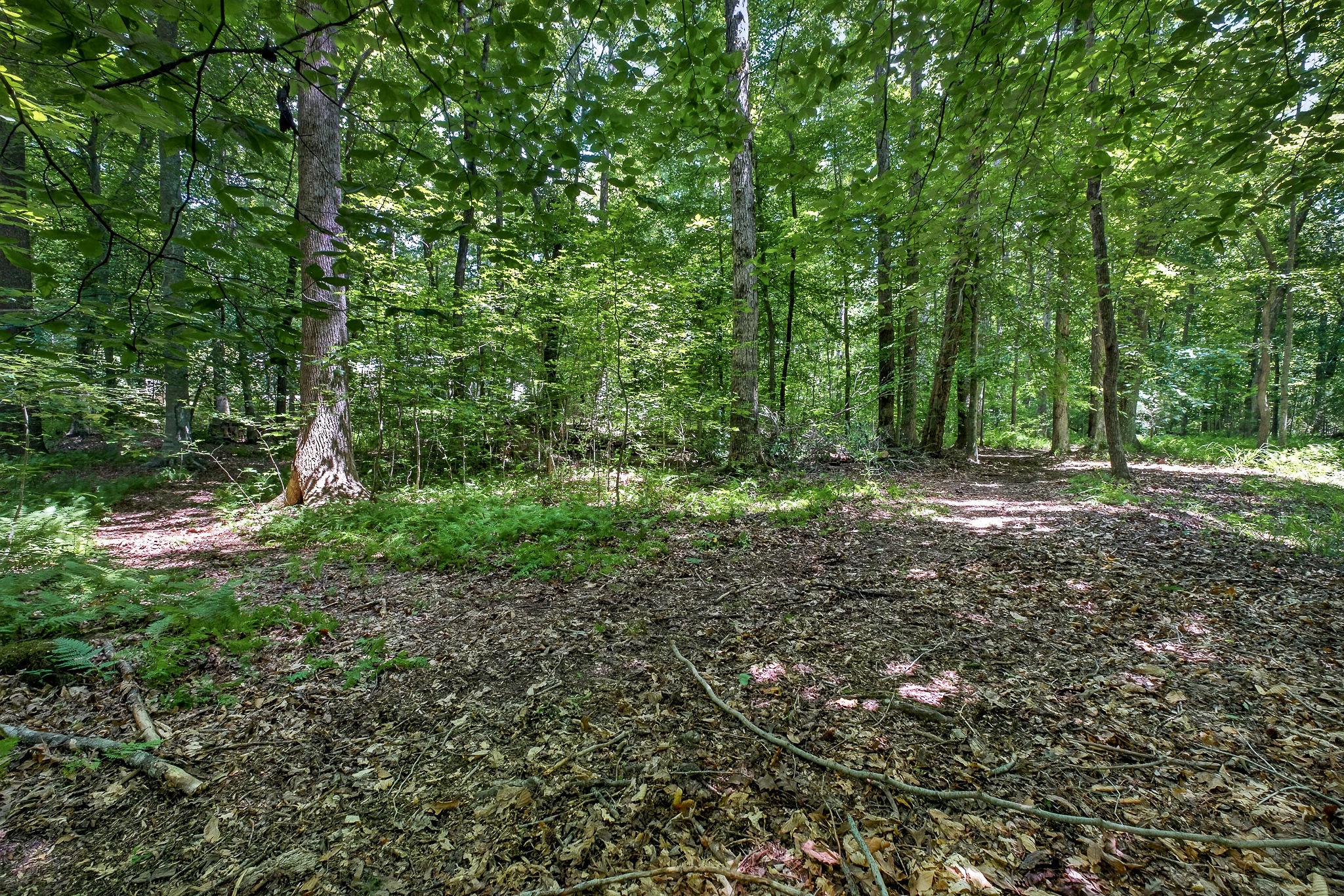 2025 Old Bonair Road Sparta, TN 38583 - Photo 49 of 72
