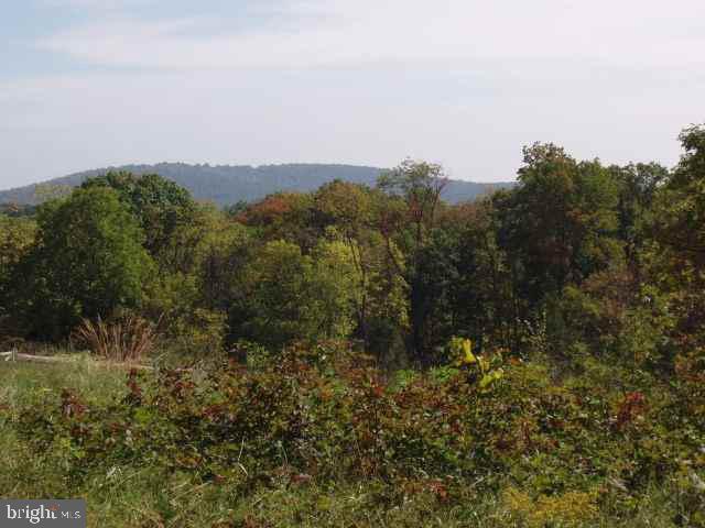 Lot 5 Camping Area Road Dover, PA 17315 - Photo 3 of 4 Gallery Image 3