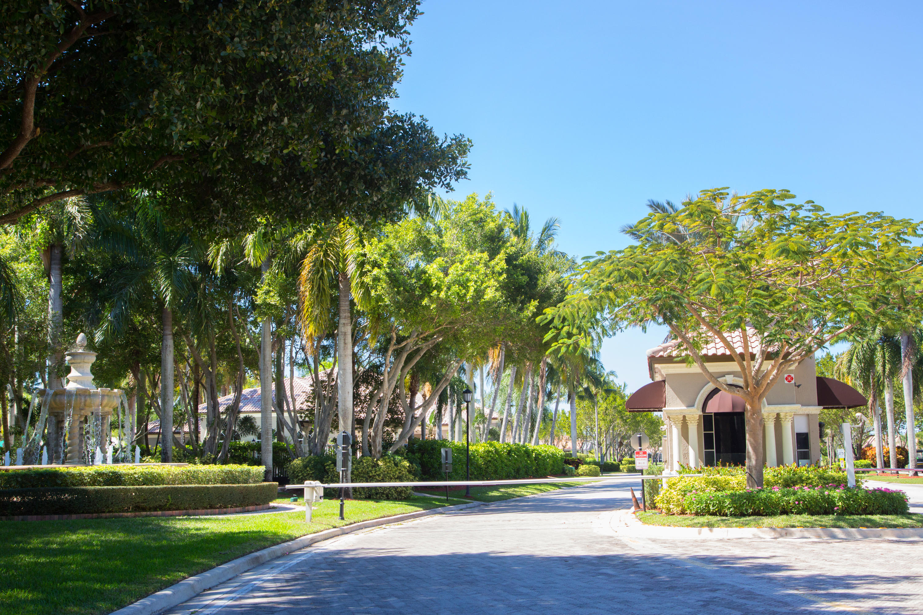 MiznerPointeBoca2019-8567