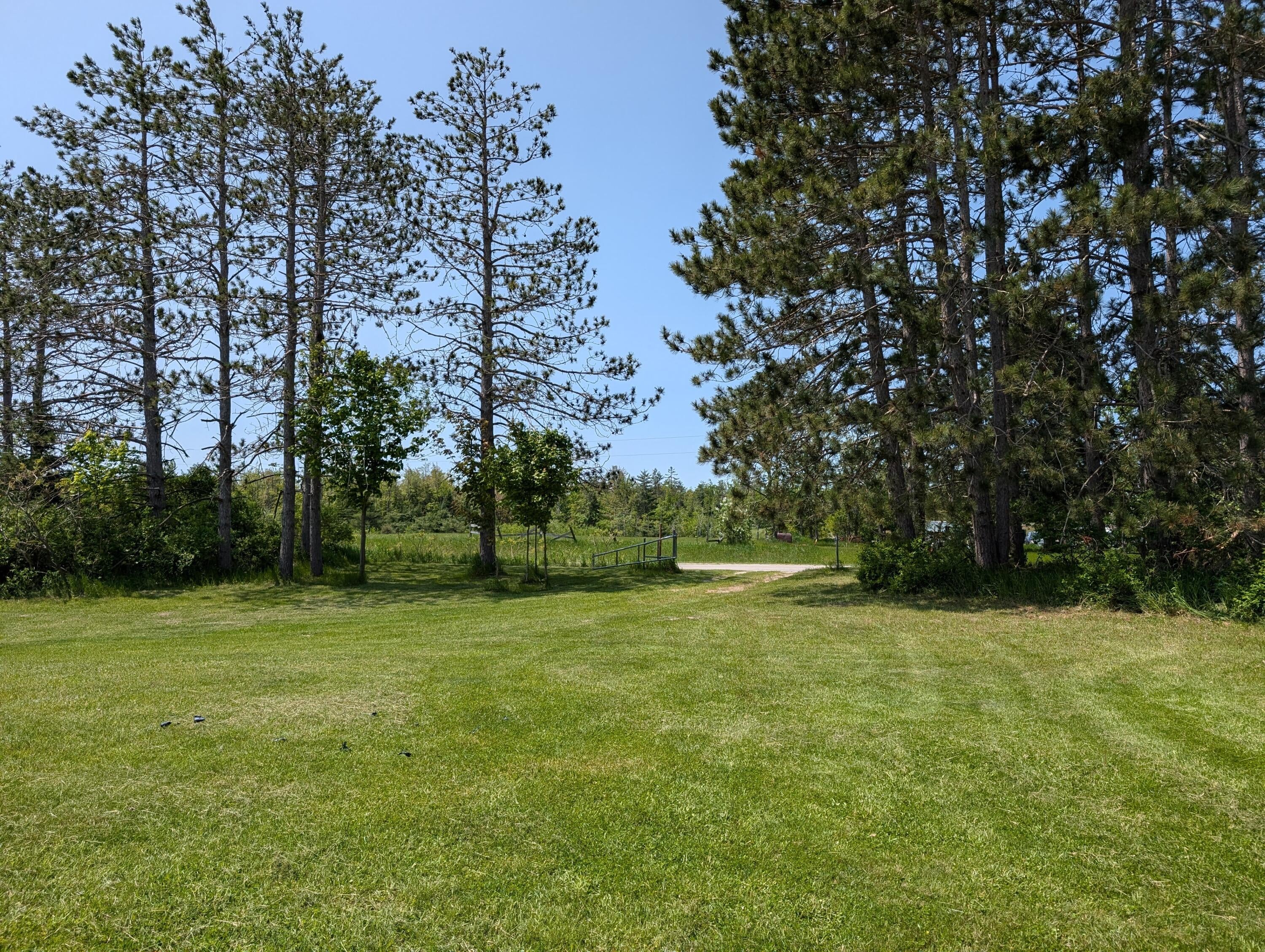 11179 Hossler Road Atlanta, MI 49709 - Photo 56 of 100 PXL_20250601_171431240