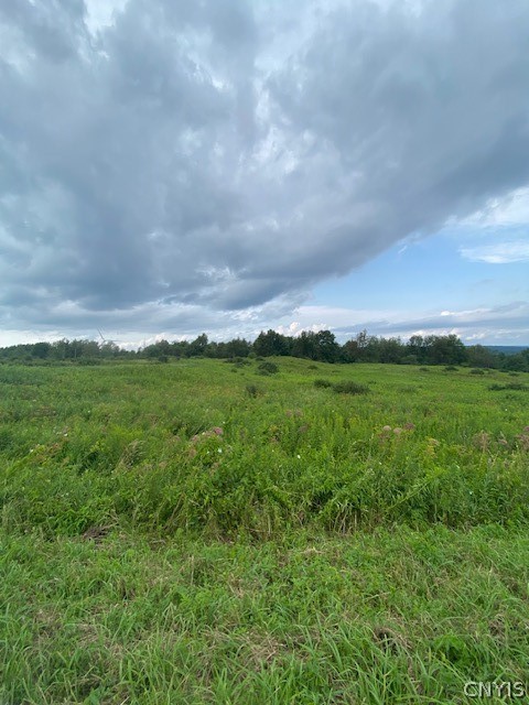 0 Rt-29 Middleville, NY 13406 - Photo 1 of 1 Gallery Image 1