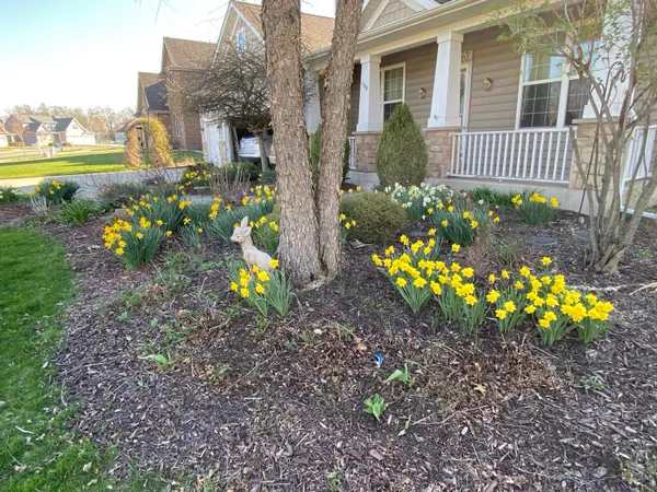 $579,900 | 1144 Mary Ellen Drive, Crown Point, IN 46307