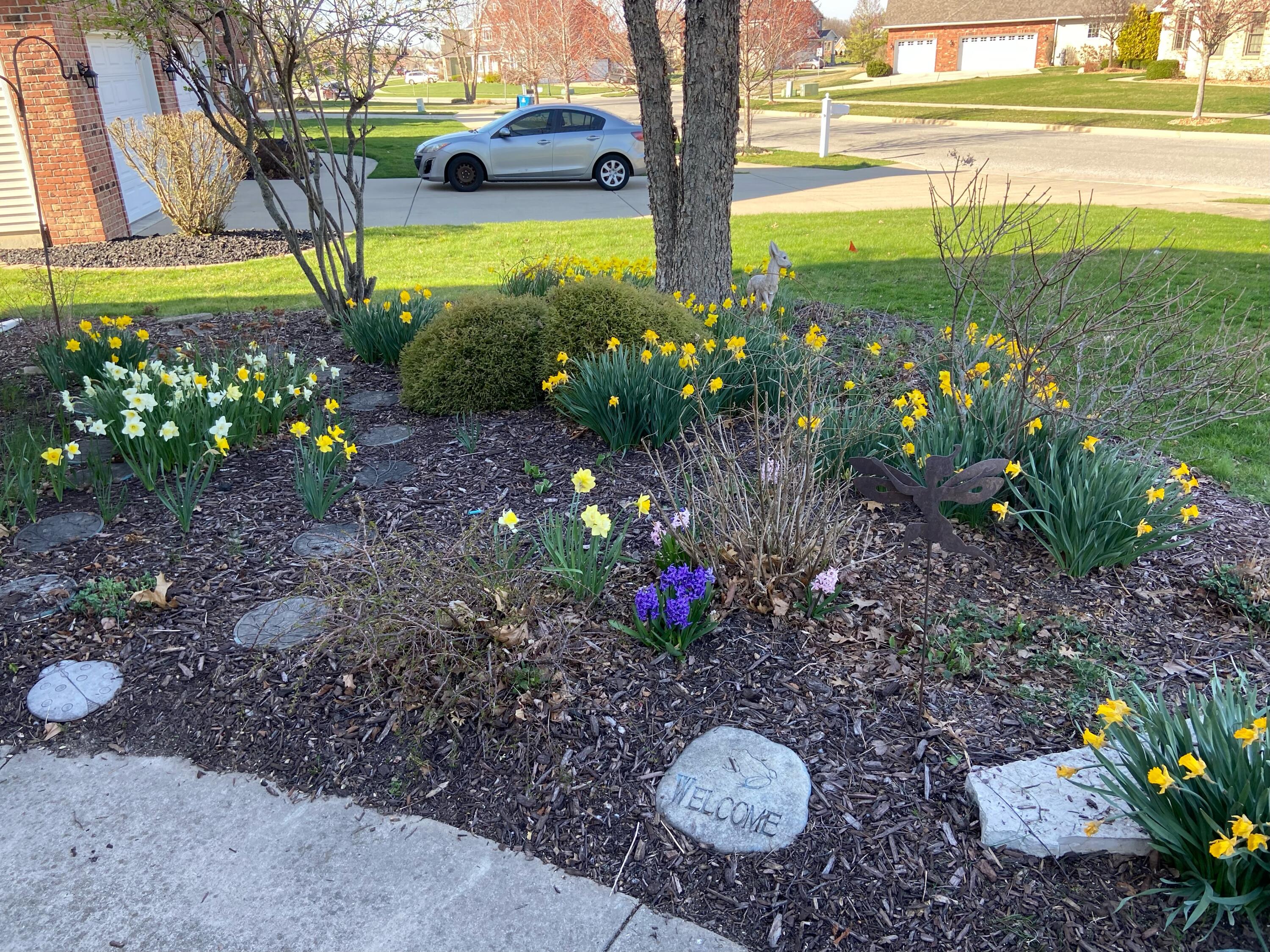 1144 Mary Ellen Drive Crown Point, IN 46307 - Photo 5 of 47 a view of a garden with lots of flower plants