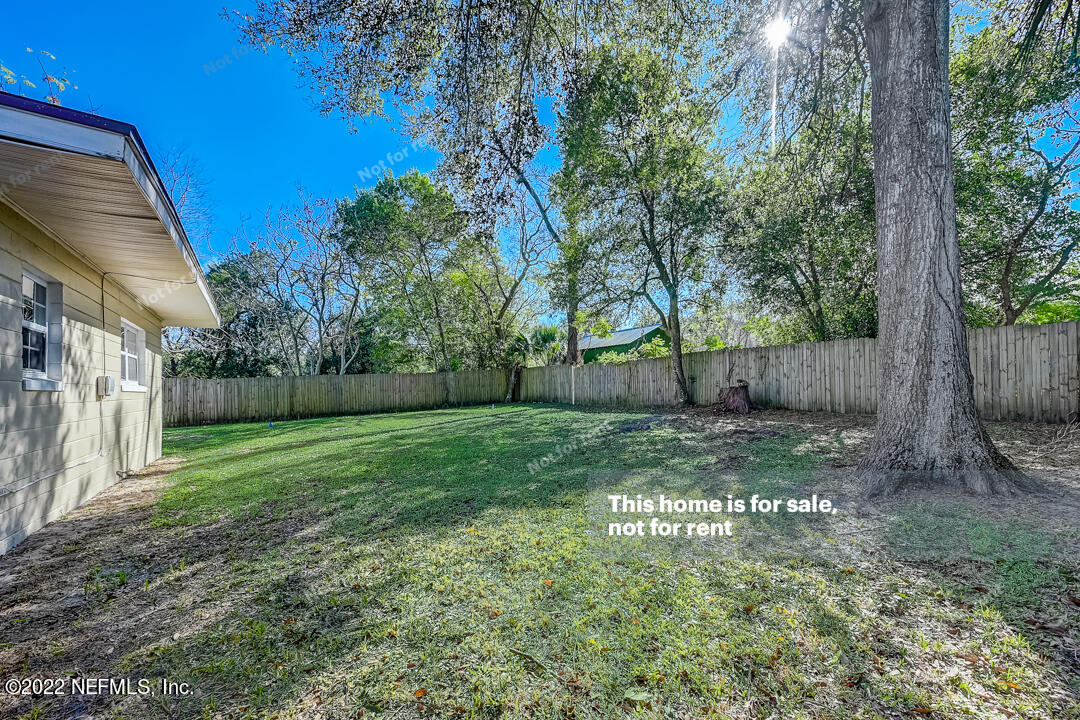 1714 Morgana Road Jacksonville, FL 32211 - Photo 16 of 31 a view of a yard with a tree