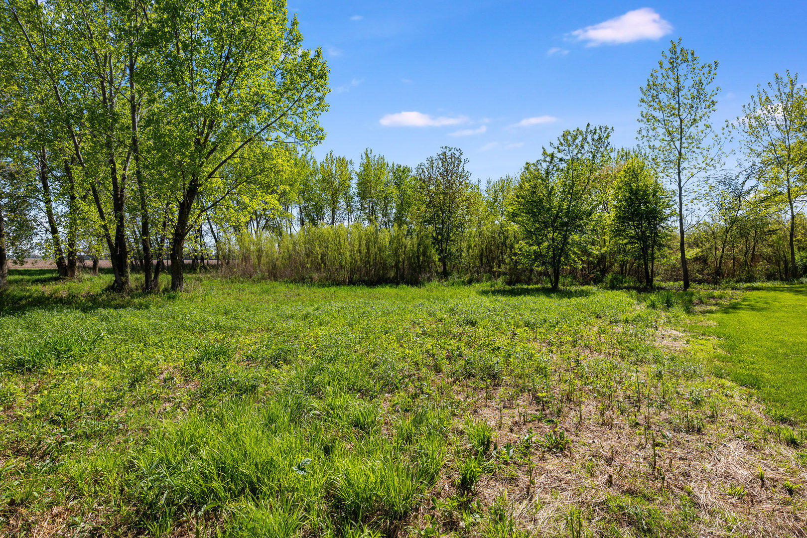 3028 South Jugtown Road Mazon, IL 60444 - Photo 43 of 48 Gallery Image 43