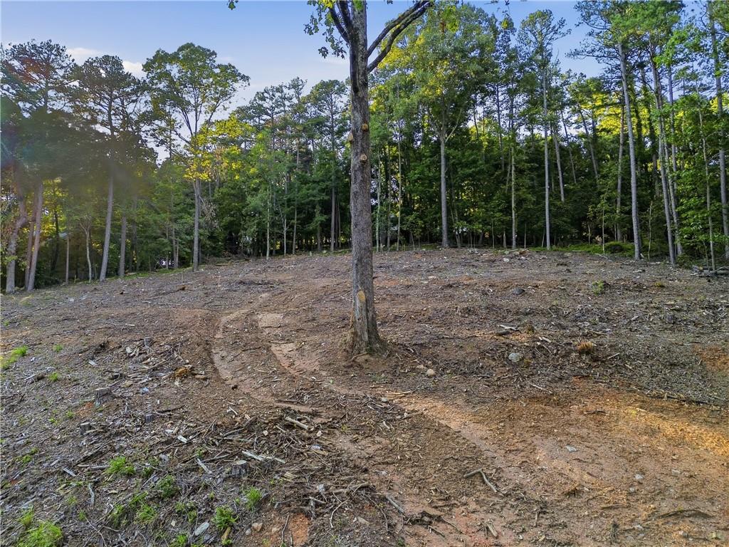 0 Warwick Rome, GA 30161 - Photo 14 of 20