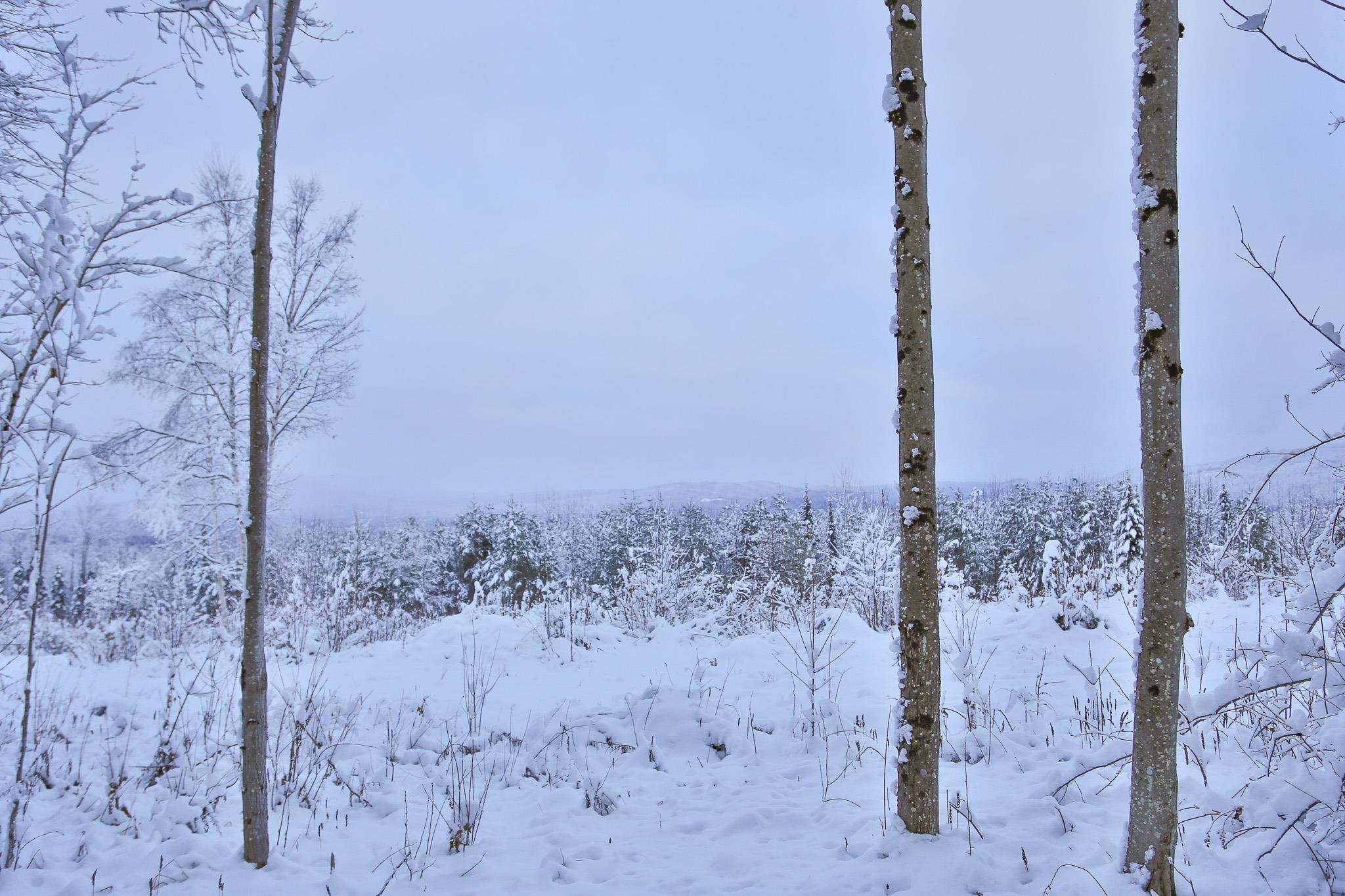 0 Powers Road Lunenburg, VT 05906 - Photo 30 of 39