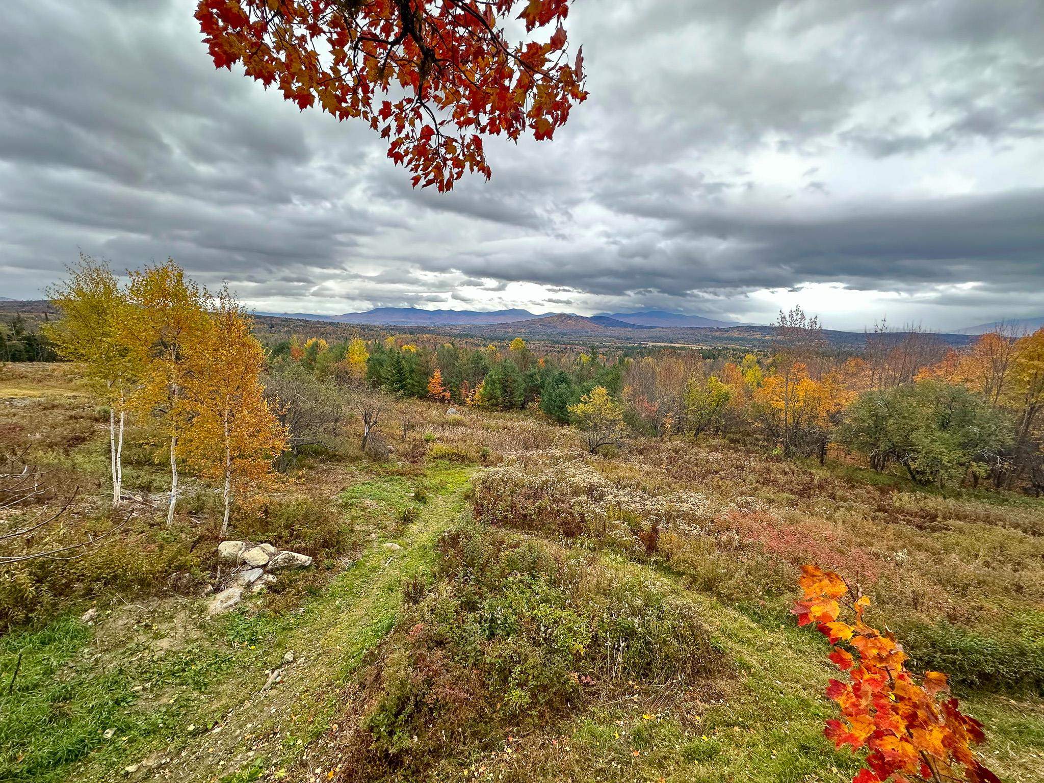 0 Powers Road Lunenburg, VT 05906 - Photo 37 of 39