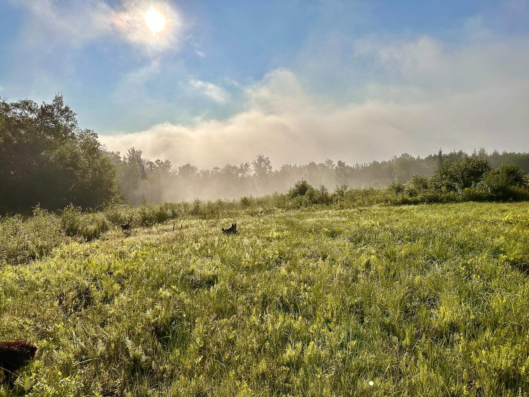 0 Powers Road Lunenburg, VT 05906 - Photo 6 of 39