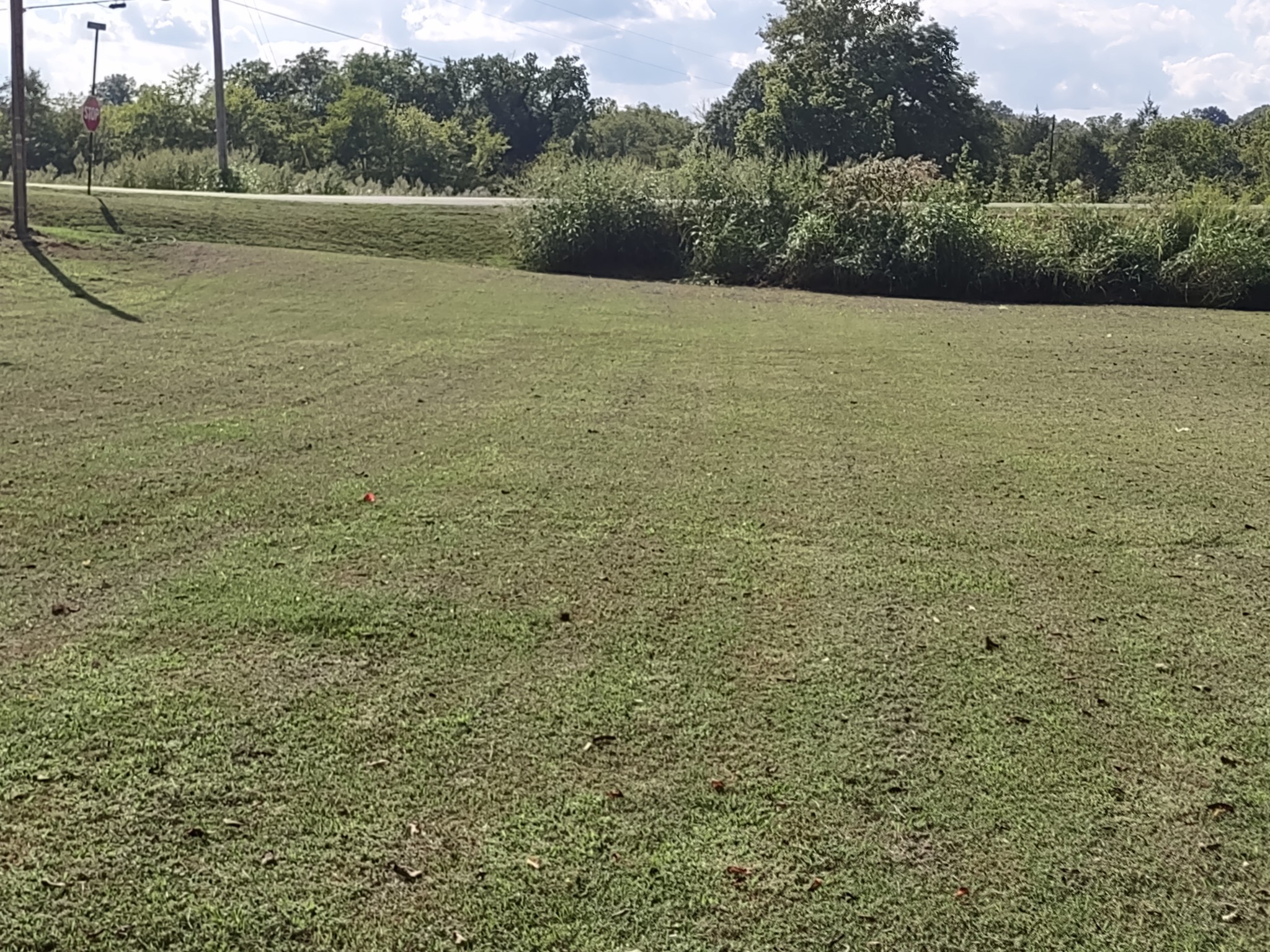 101 Chipman Road Bethpage, TN 37022 - Photo 3 of 12 Gallery Image 3