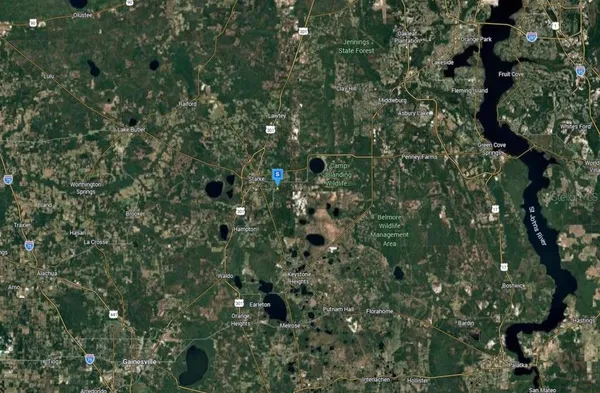 a close up of a plant