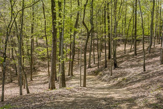 2890 Webb Hollow Road Williamsport, TN 38487 - Photo 12 of 20 Development of property enhanced the views of the wooded areas and trails. Extra care was taken to maintain natural integrity of the larger timber and understory.