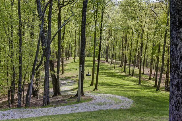 2890 Webb Hollow Road Williamsport, TN 38487 - Photo 13 of 20 Grassy areas provide view corridors incorporated into the landscape.
