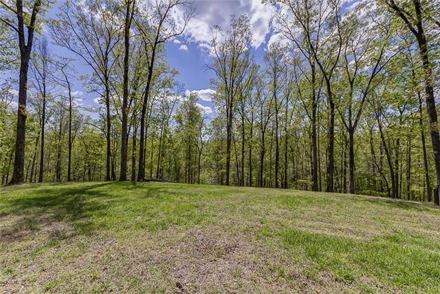 2890 Webb Hollow Road Williamsport, TN 38487 - Photo 16 of 20 The South Ridge Cottage site is nestled deep within the property.