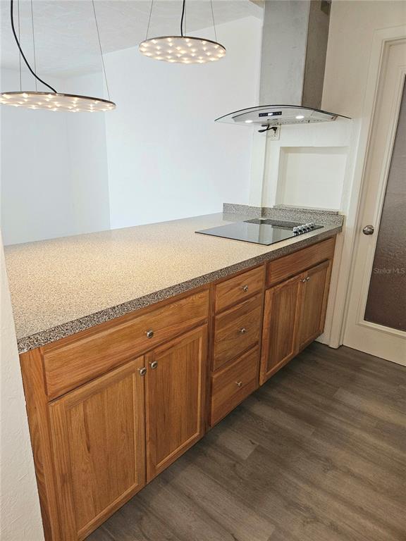 4915 Elkner Street, Unit 4915 New Port Richey, FL 34652 - Photo 6 of 29