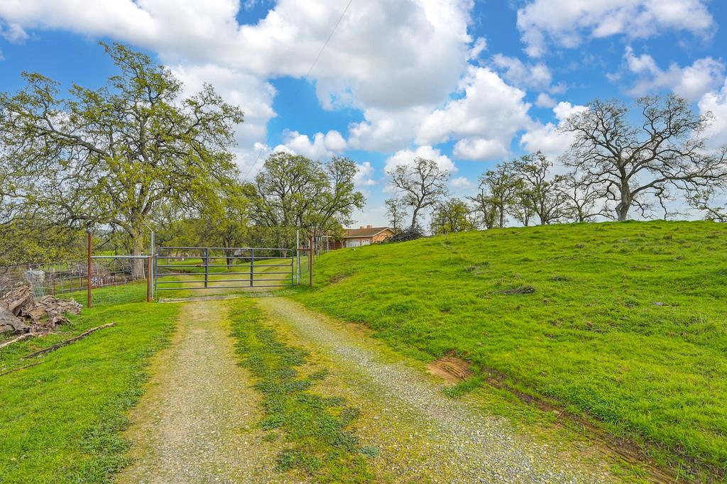 7730 McCourtney Road Lincoln, CA 95648 - Photo 3 of 99 a view of a big yard with large trees