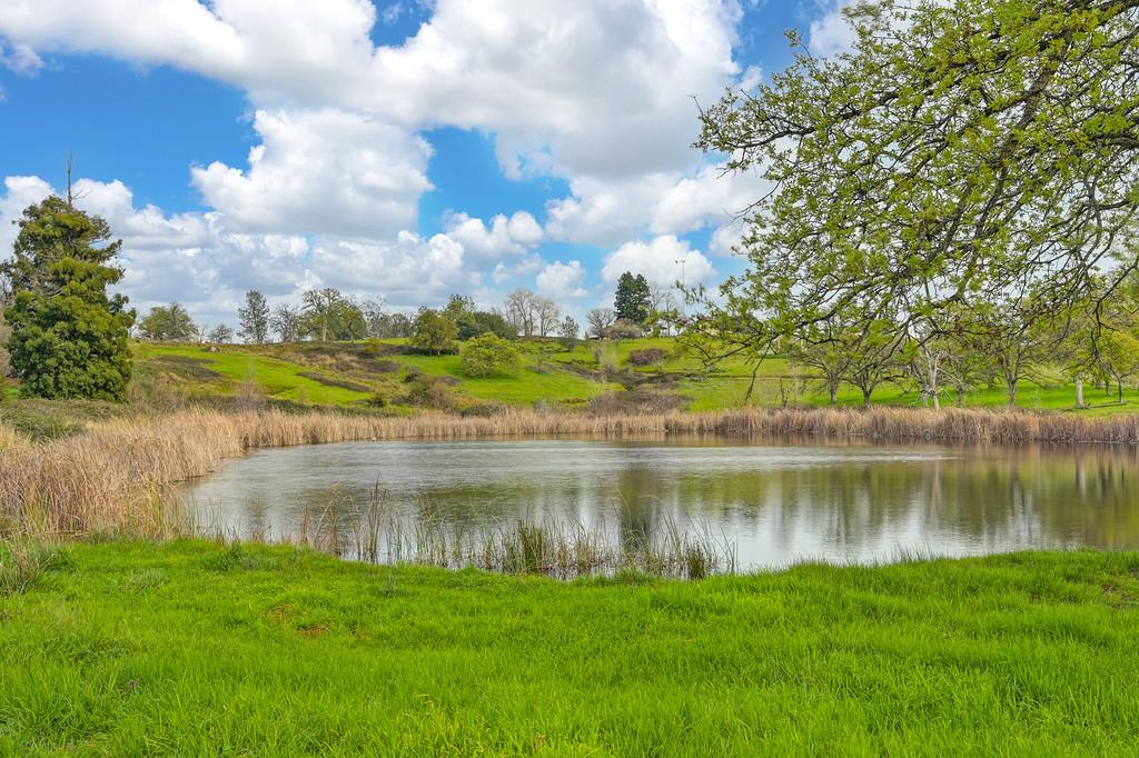 7730 McCourtney Road Lincoln, CA 95648 - Photo 58 of 99 a view of a lake with a big yard