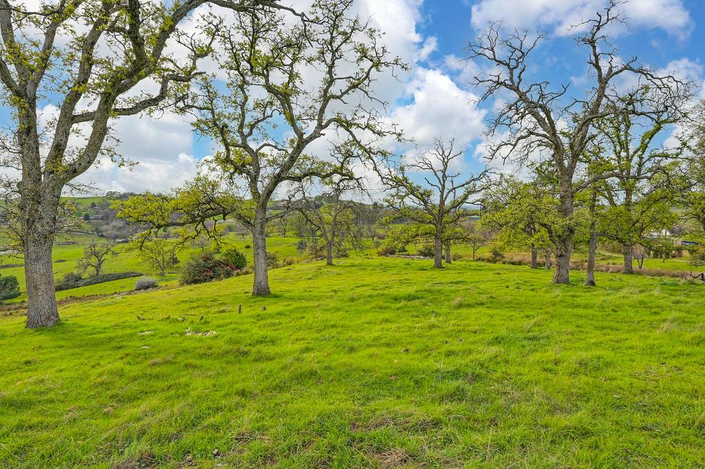 7730 McCourtney Road Lincoln, CA 95648 - Photo 78 of 99