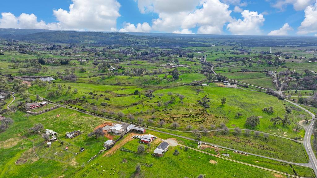 7730 McCourtney Road Lincoln, CA 95648 - Photo 94 of 99 a view of a lush green forest
