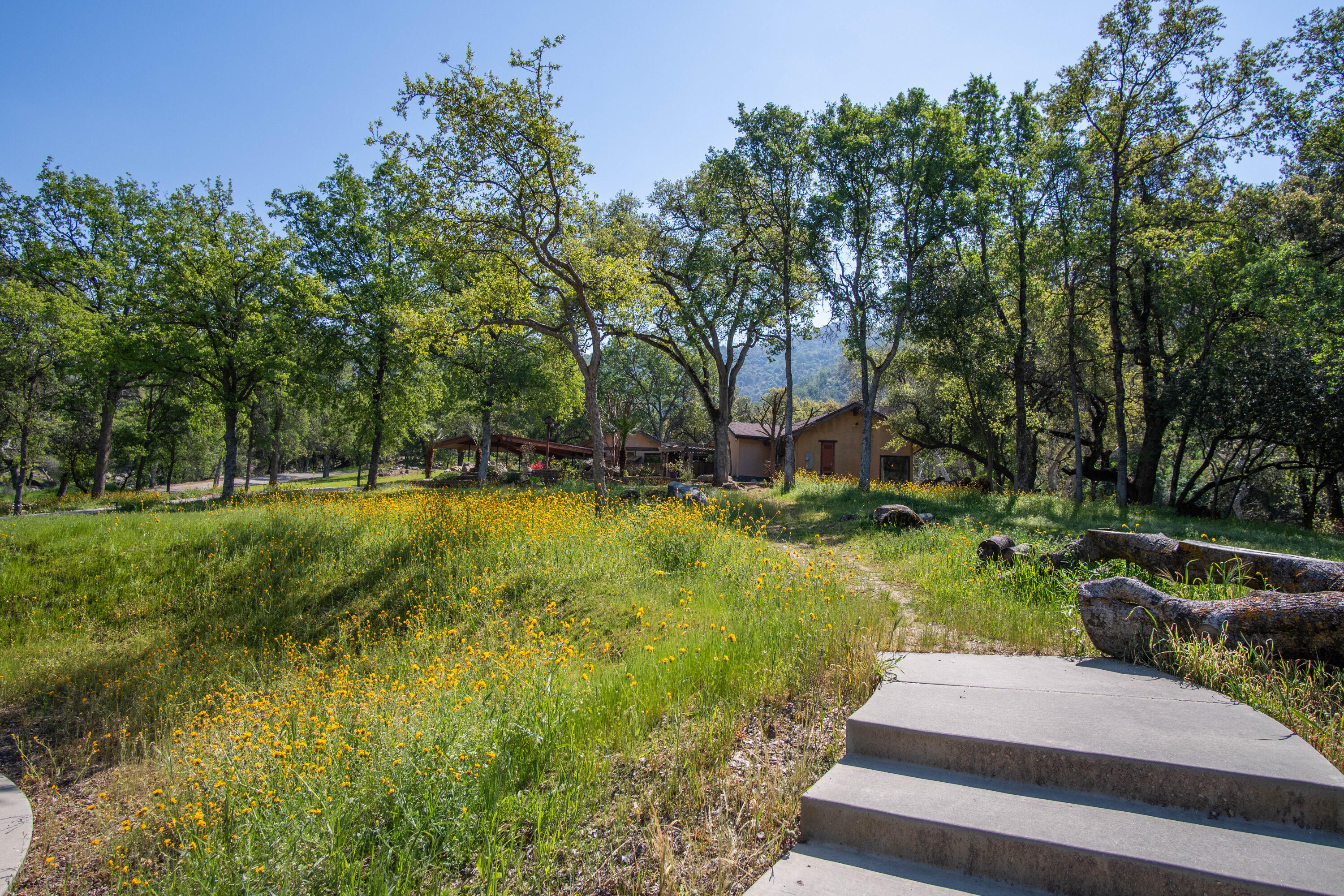 42701 Hawk Hollow Drive Three Rivers, CA 93271 - Photo 51 of 63 DSC01172