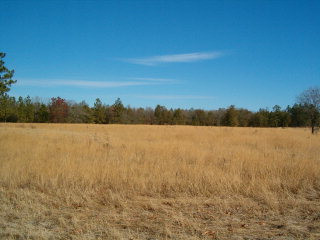 0 Oak Ridge Club Road Williston, SC 29853 - Photo 1 of 1
