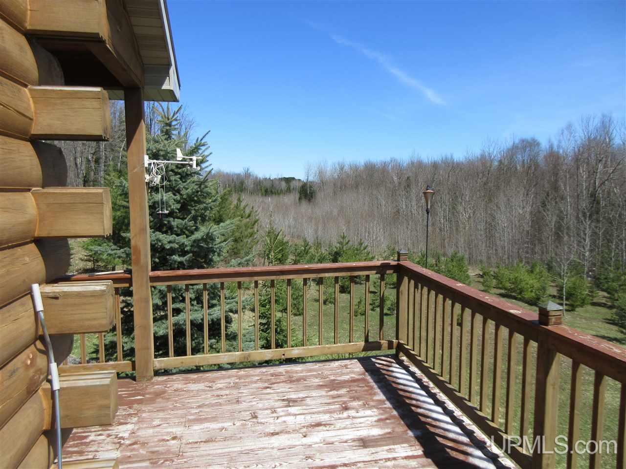 119 Ridge View Drive Iron River, MI 49935 - Photo 4 of 44