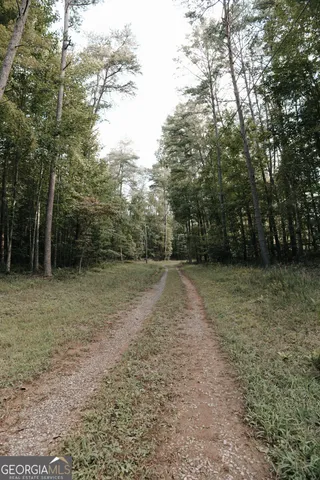 a view of backyard with green space