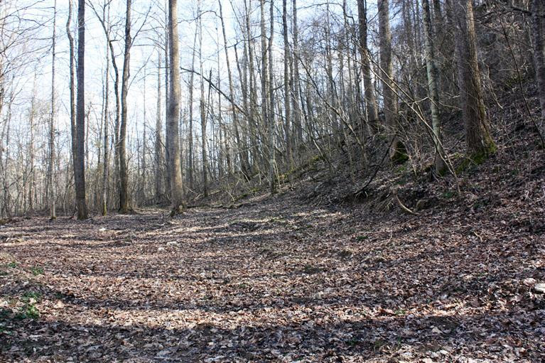 1790 South Fork Road Stanton, KY 40380 - Photo 5 of 5 Photo 6