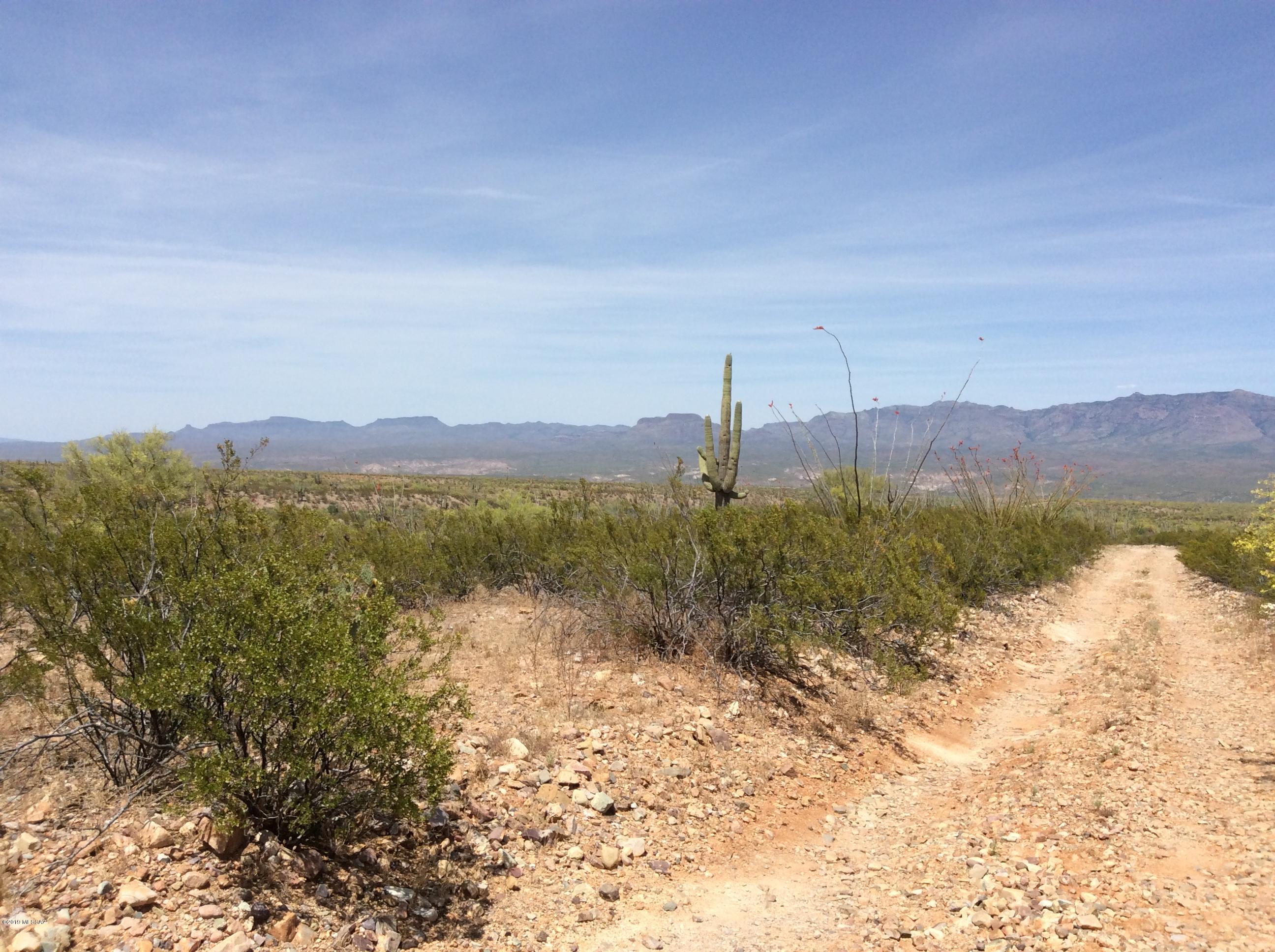 Peppersauce Mine Road San Manuel, AZ 85631 - Photo 26 of 33