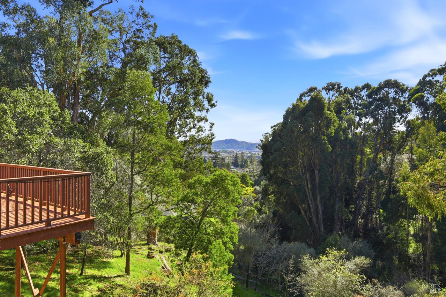 307 Summit Avenue San Rafael, CA 94901 - Photo 28 of 30