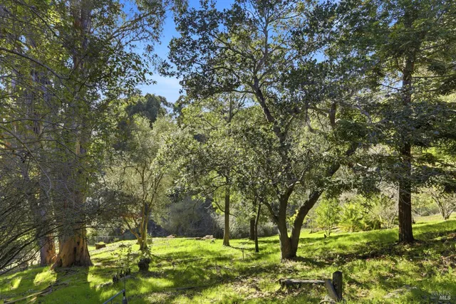 a view of yard with tree
