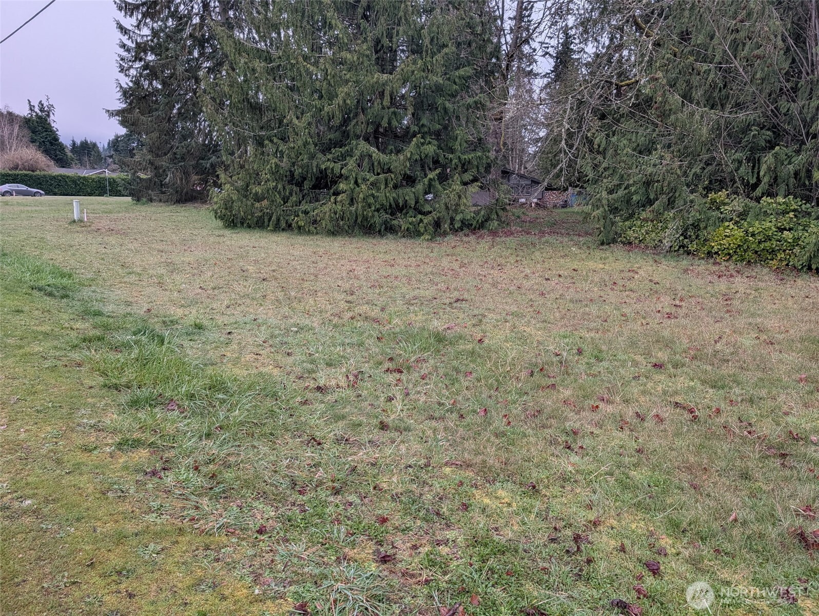 2 North Solmar Drive Sequim, WA 98382 - Photo 3 of 3 a view of a yard with a tree