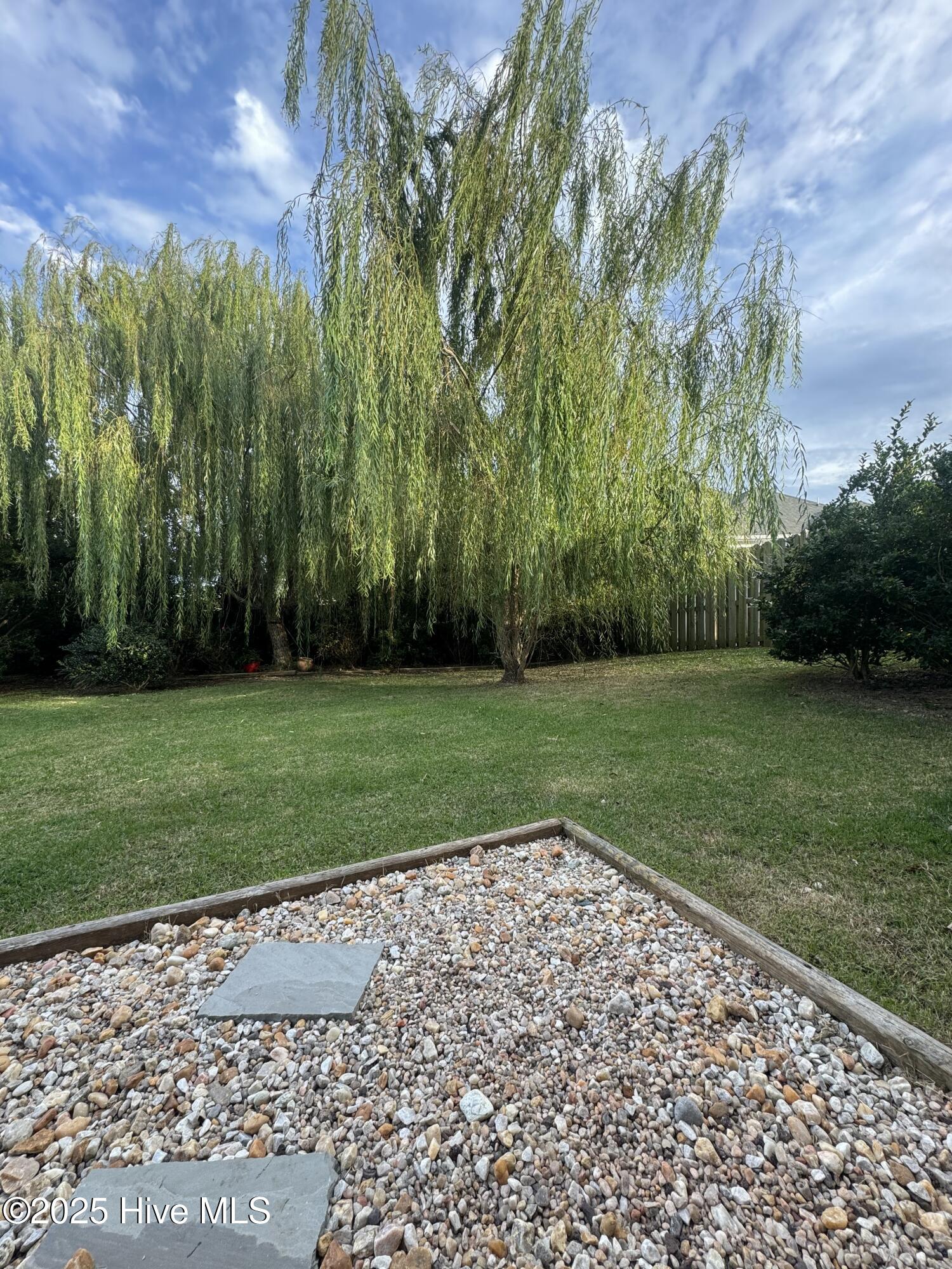 132 Chadwick Road Beaufort, NC 28516 - Photo 24 of 39 backyard1.jpg