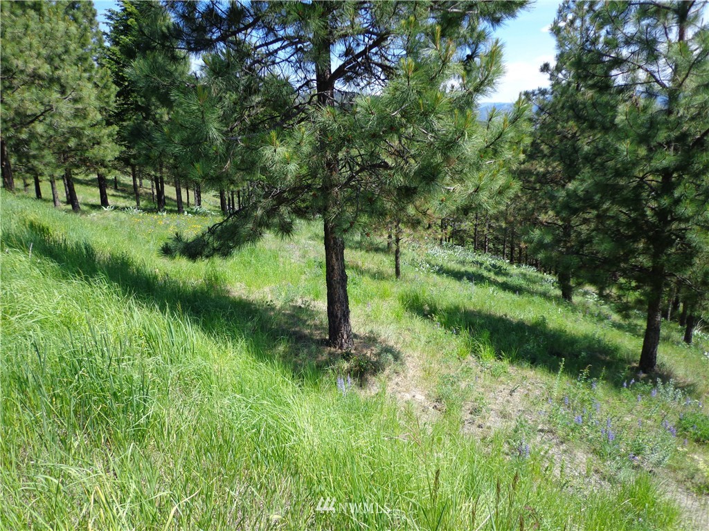 110 Klondike Road Republic, WA 99166 - Photo 12 of 12
