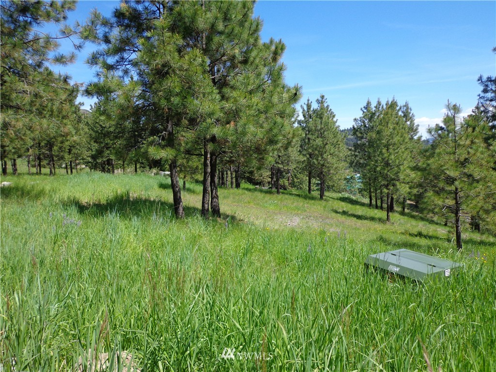 110 Klondike Road Republic, WA 99166 - Photo 4 of 12