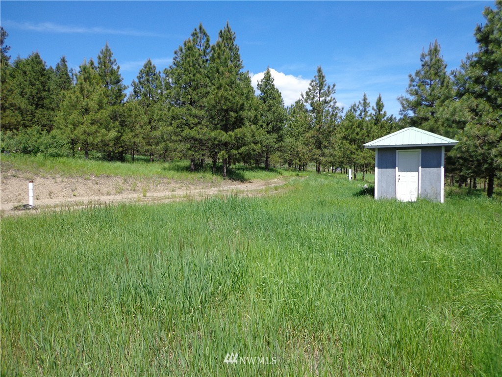 110 Klondike Road Republic, WA 99166 - Photo 5 of 12
