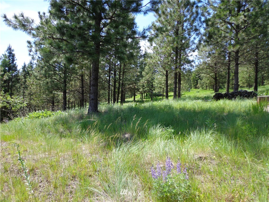 110 Klondike Road Republic, WA 99166 - Photo 8 of 12
