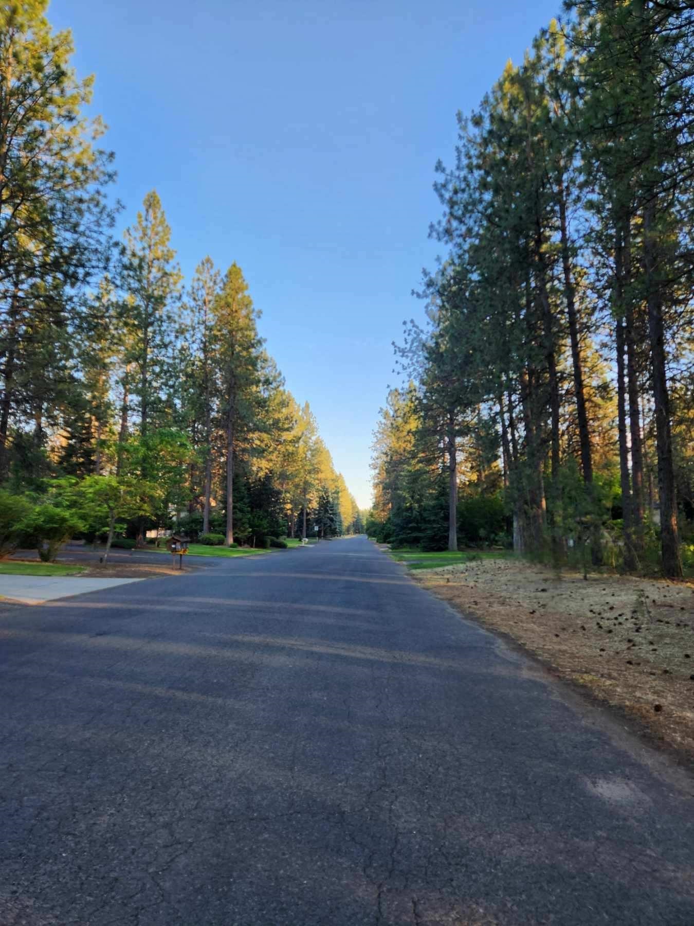 17-xxx North Saddle Hill Road Colbert, WA 99005 - Photo 5 of 6