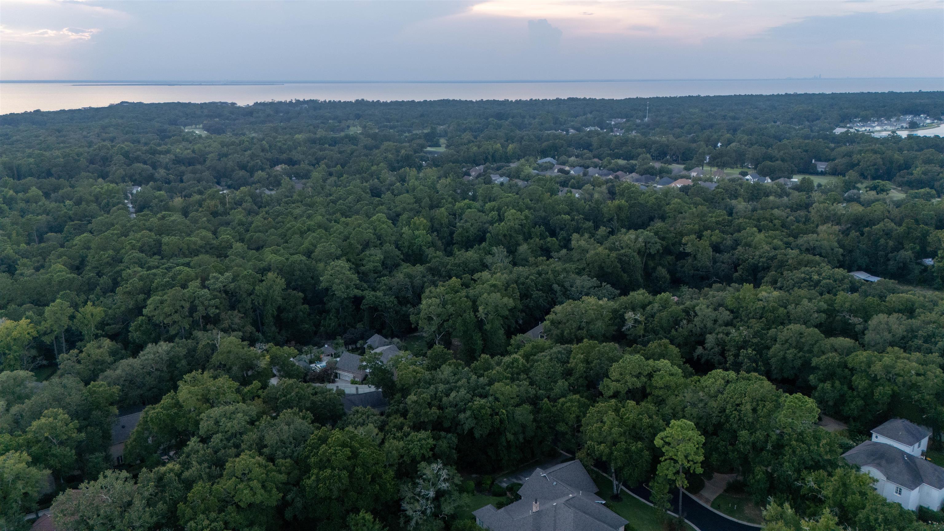 17455 Stillwood Lane Fairhope, AL 36532 - Photo 14 of 21 Aerial View