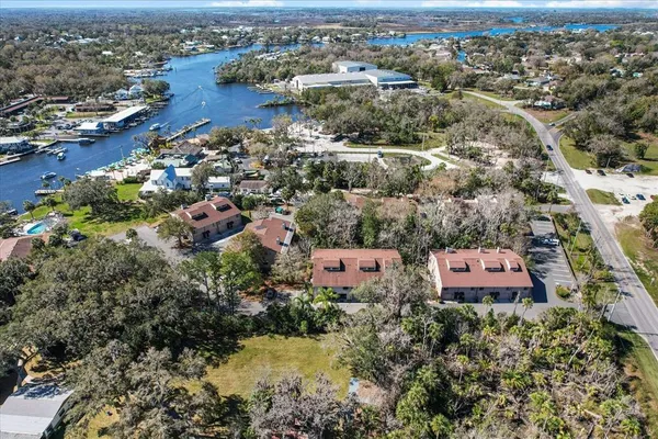 an outdoor space with lots of potted plants