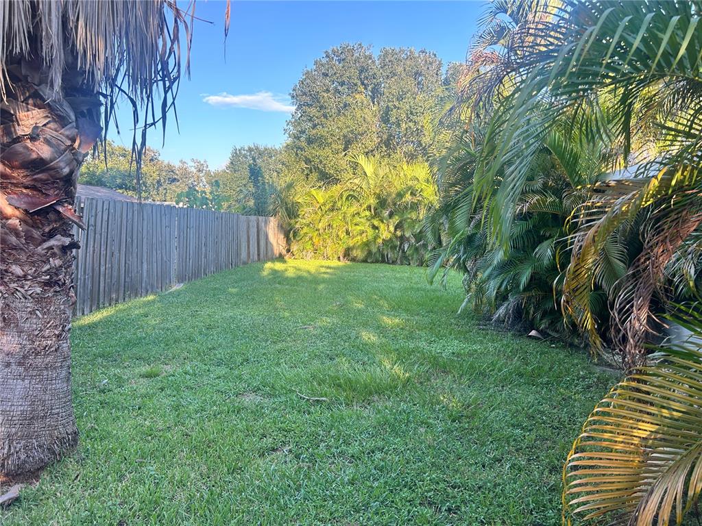 501 Firefly Lane Apollo Beach, FL 33572 - Photo 15 of 17 a view of a backyard
