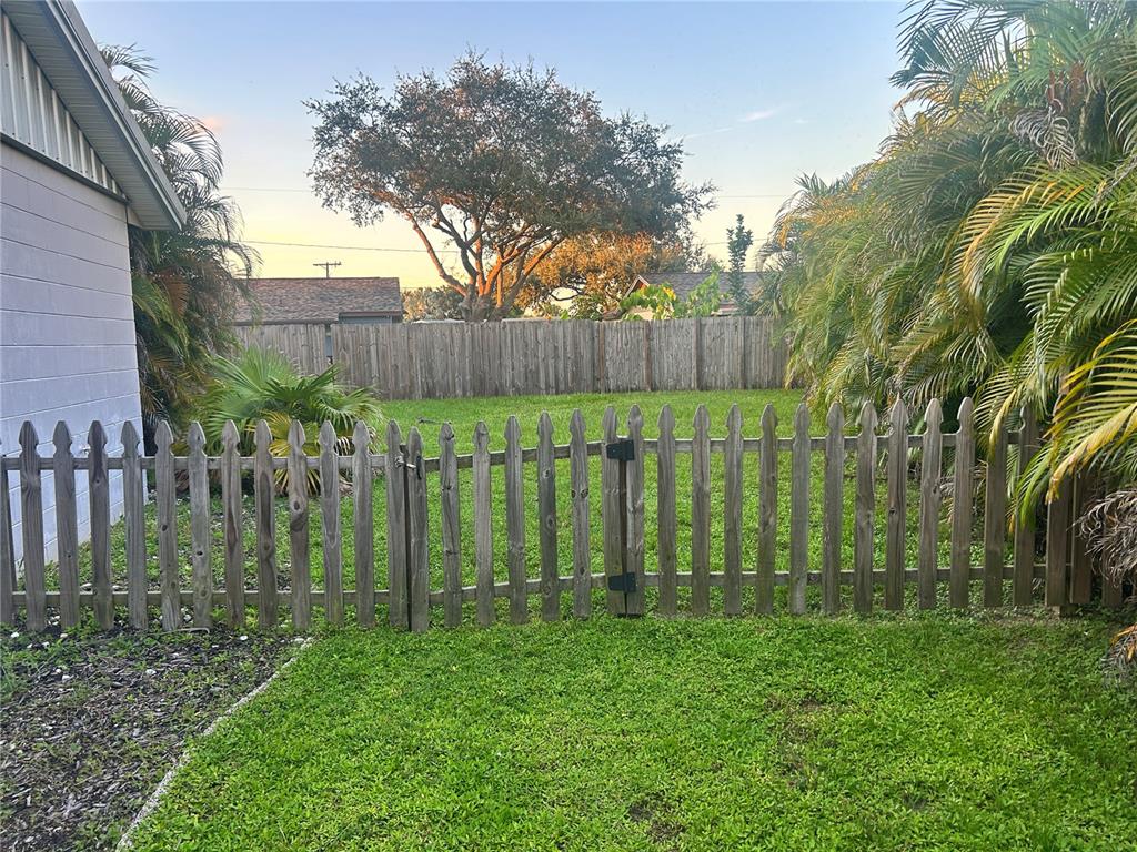 501 Firefly Lane Apollo Beach, FL 33572 - Photo 2 of 17 a backyard of a house with lots of green space