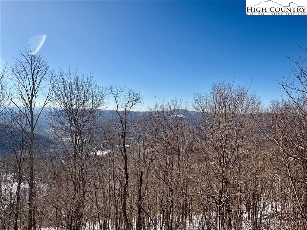 Acorn Nvno Road Zionville, NC 28698 - Photo 9 of 10 a view of a yard