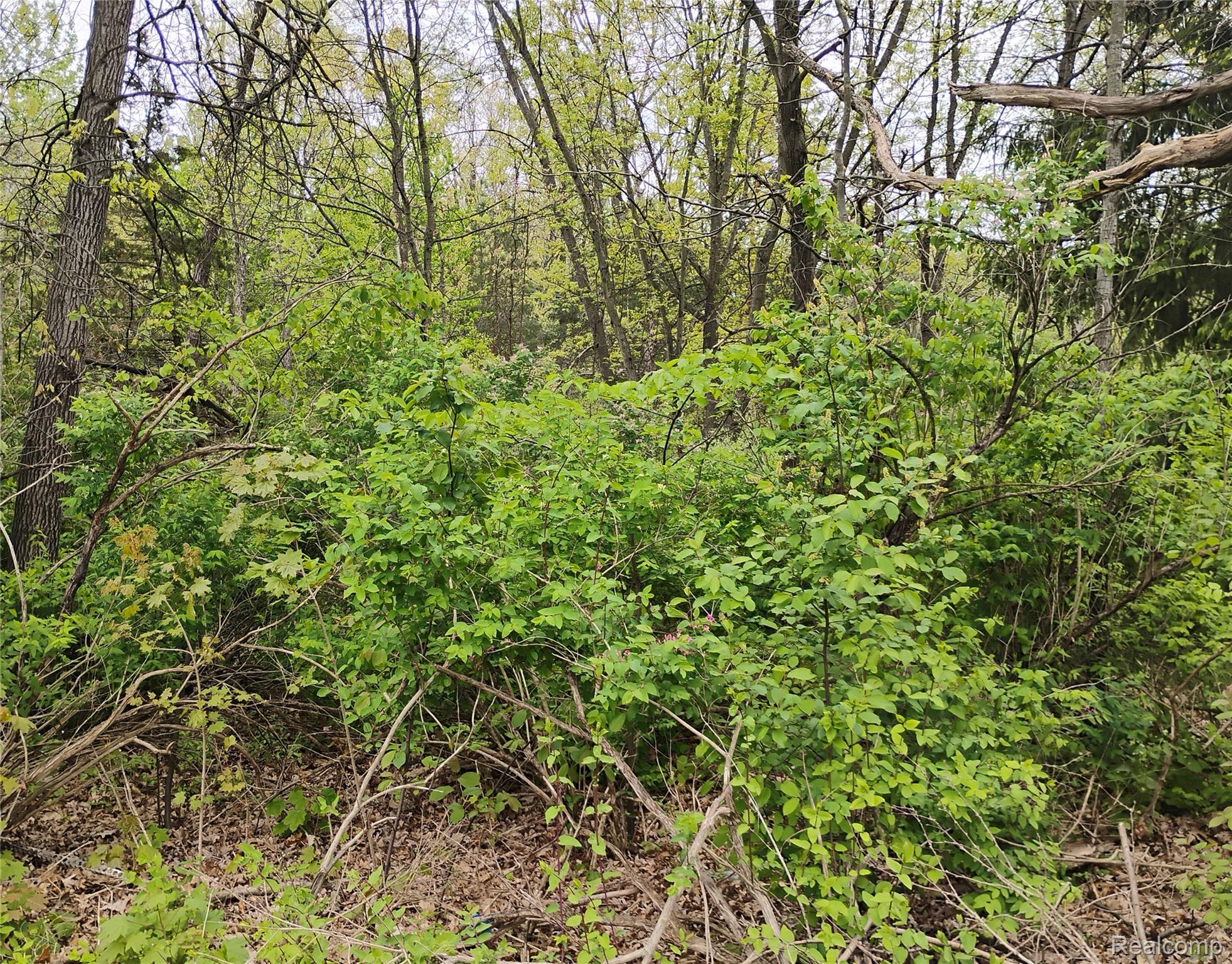 -middle Parcel C Middle Parcel C Middle Road Highland, MI 48357 - Photo 5 of 9 Parcel C front near middle road.jpg