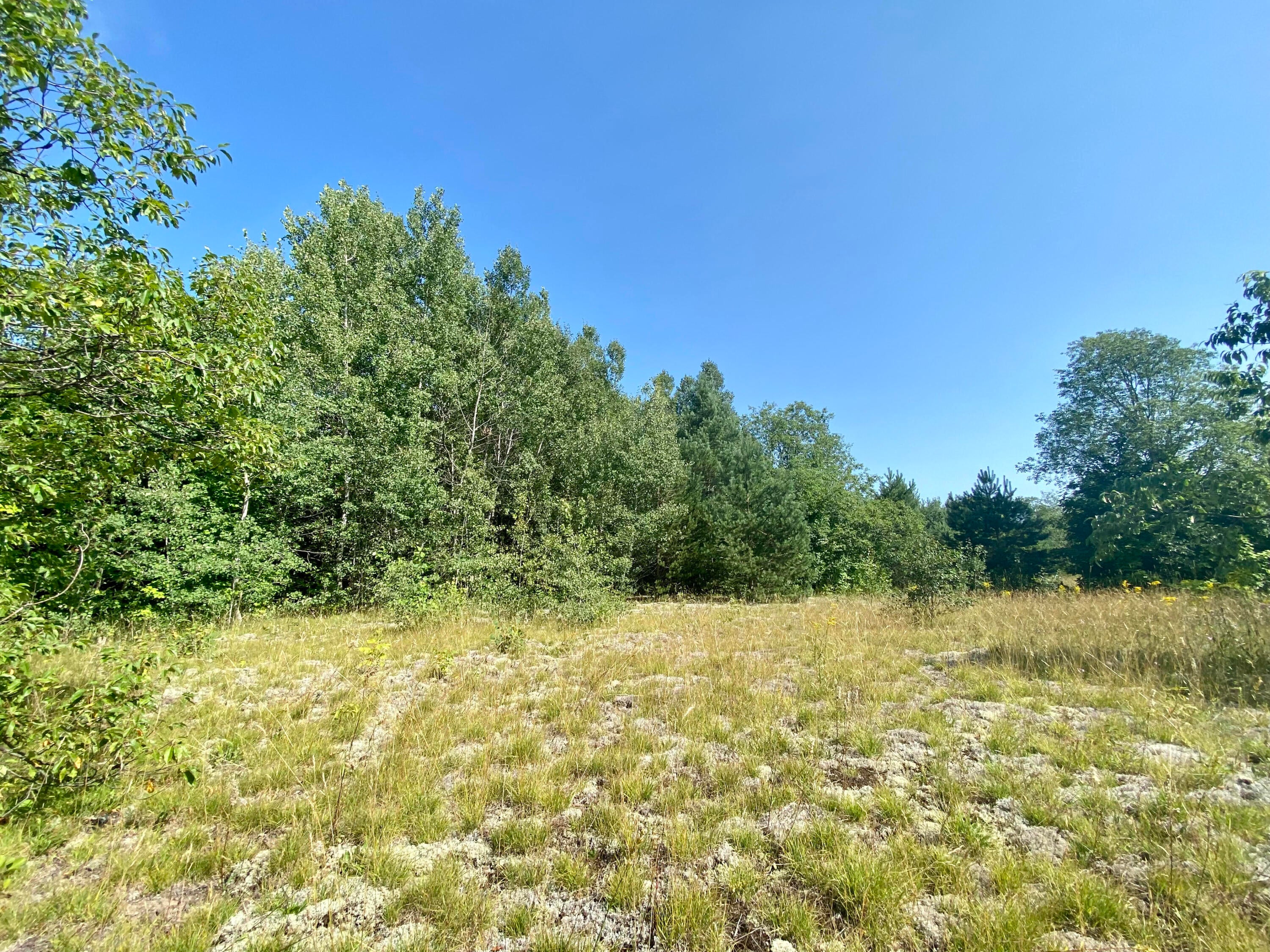 Van Tyle Road Gaylord, MI 49735 - Photo 8 of 11 Gallery Image 8