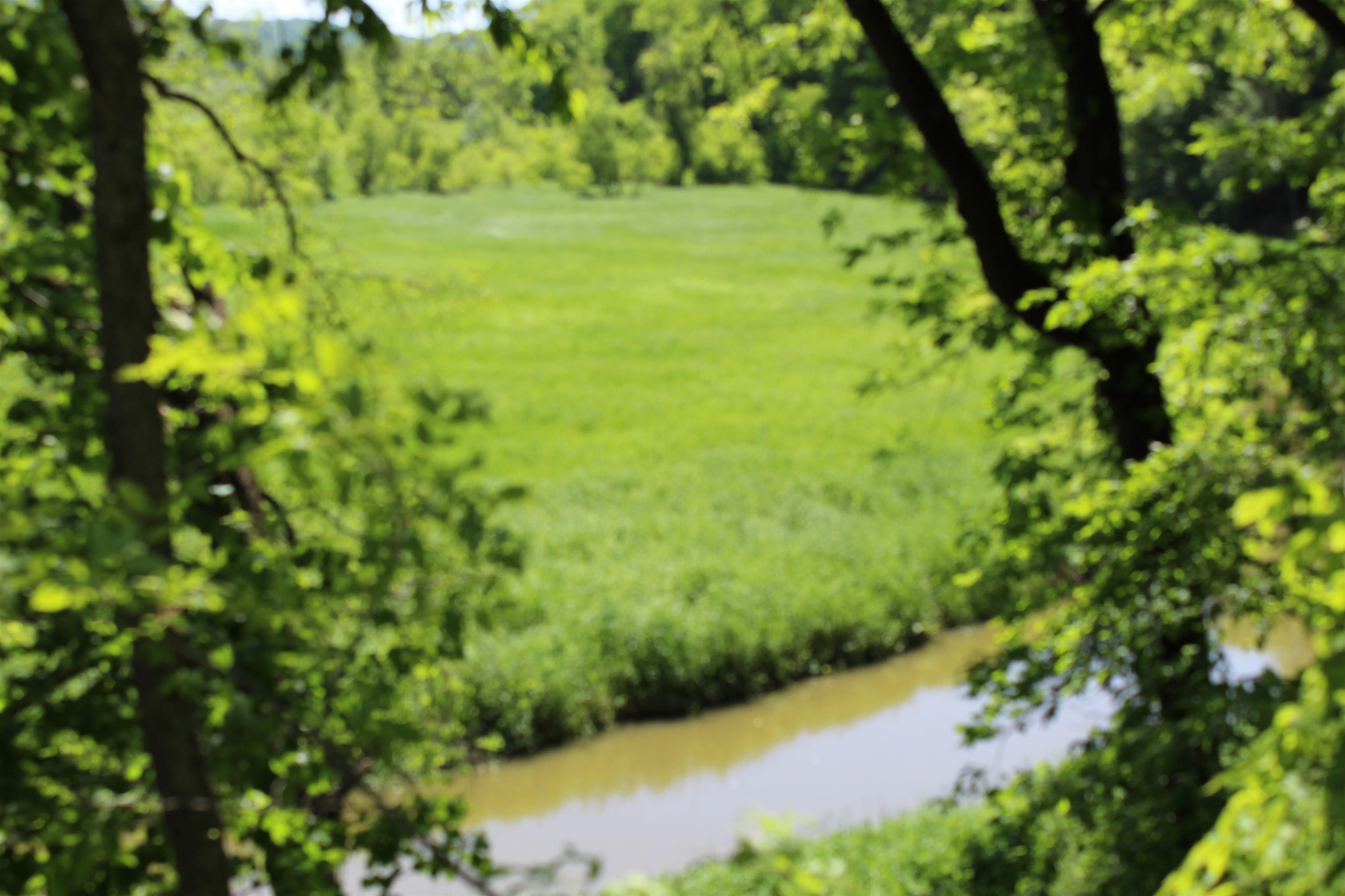 3954 Oak Potosi, WI 53820 - Photo 11 of 32